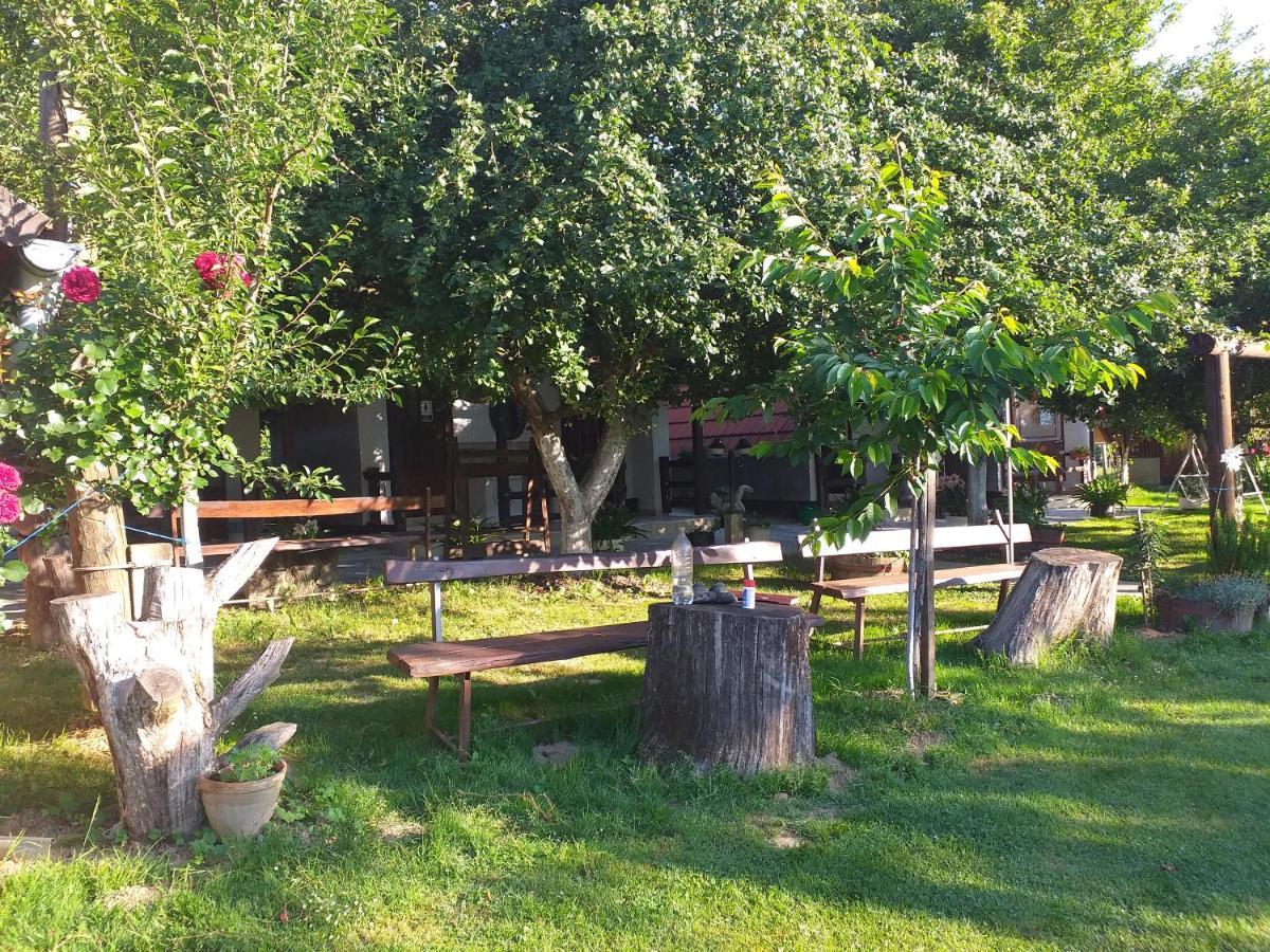 Camping Lukac 쿠티나 외부 사진