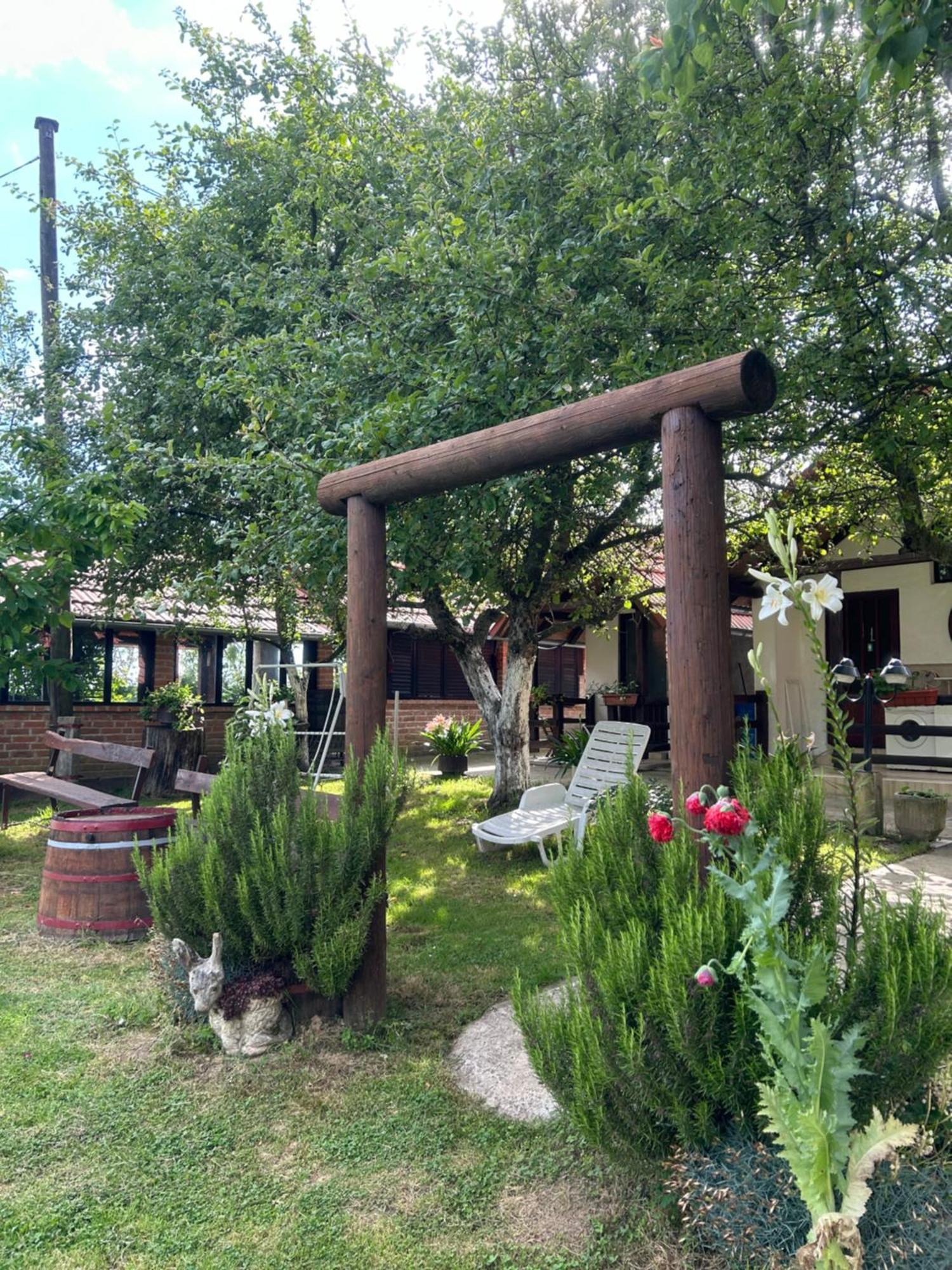 Camping Lukac 쿠티나 외부 사진